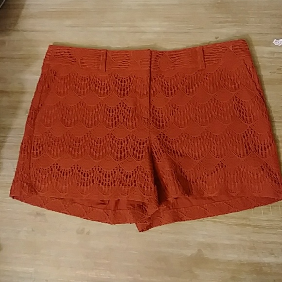 LOFT Pants - Loft Lace Shorts
